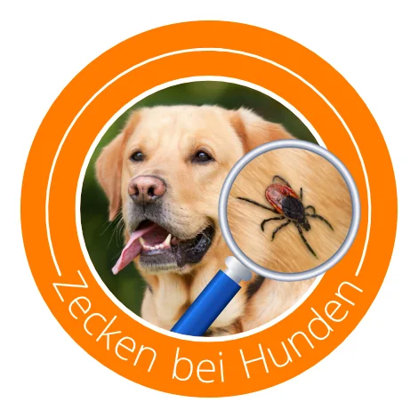 Icon Zecken-bei-Hunden, Hund mit Lupe durch die man eine Zecke sieht