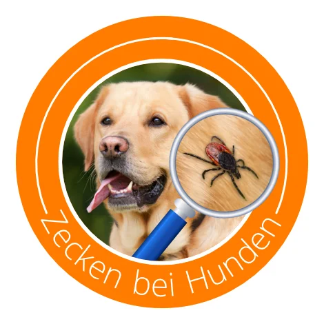 Zecken bei Hunden Icon orange