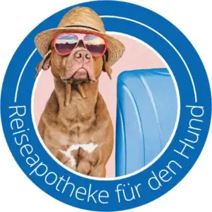 Icon blau Reiseapotheke Hund