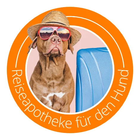 Reiseapotheke für den Hund Ratgeber-Icon
